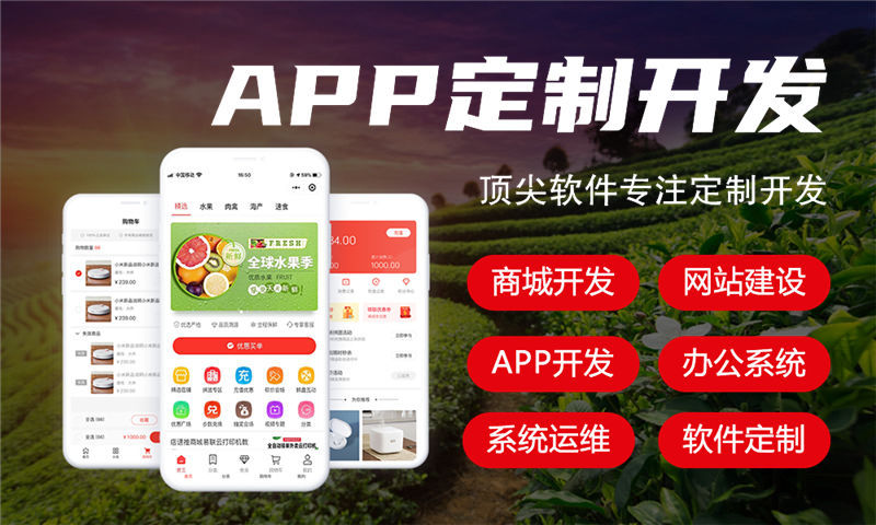 合肥十二星三三复制系统商城开发（APP 软件）解决方案：助力企业数字化转型的利器
